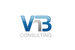 VNB Consulting Services logo